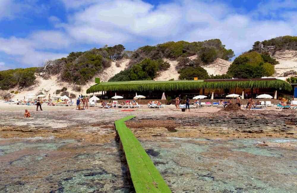 sa trinxa restaurante chiringuito salinas