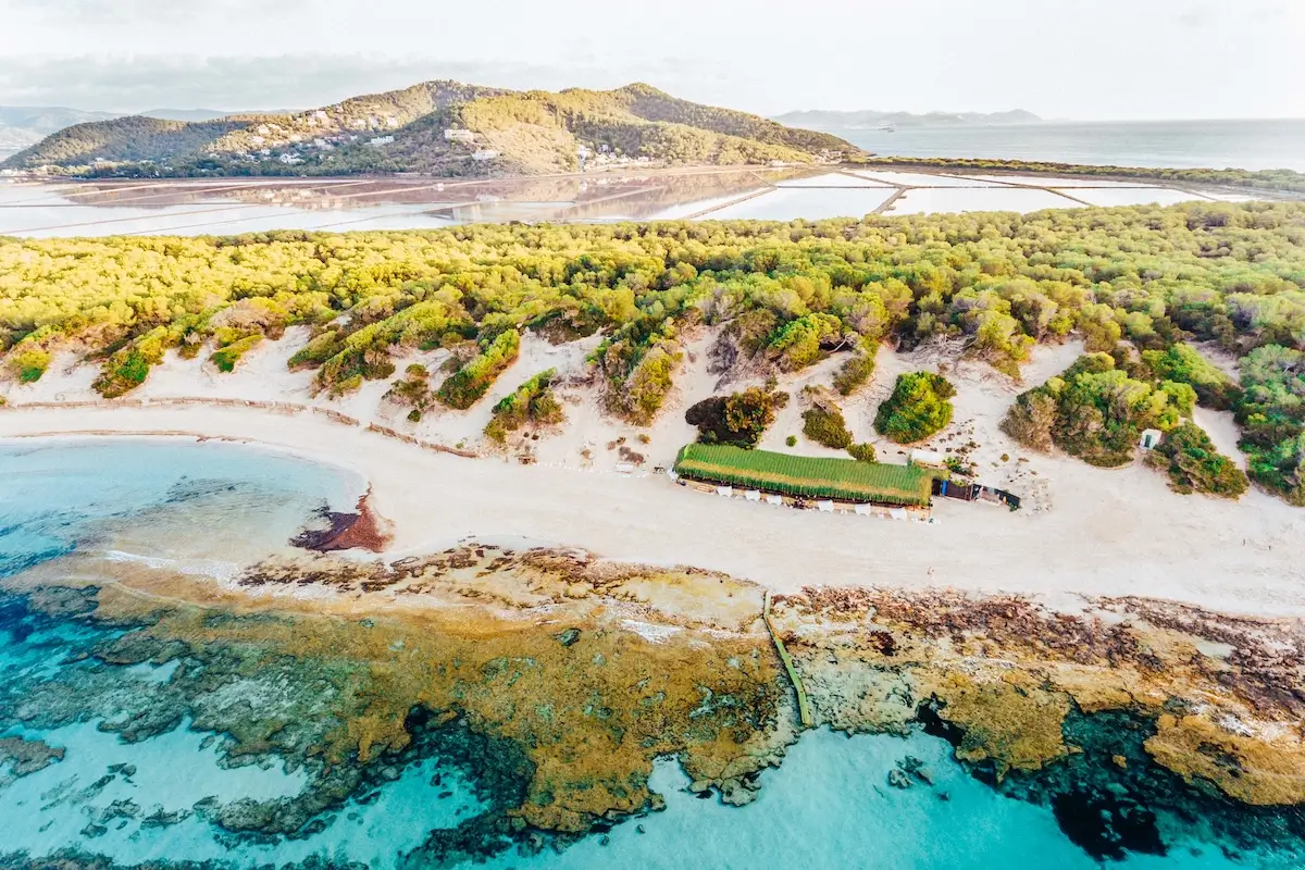 saTrinxa_Salines_Ibiza_Dron
